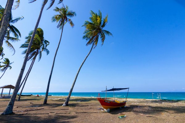 Find Your Ideal Scottish Borders Vacation Home: Explore Nearby Historic Battlefields