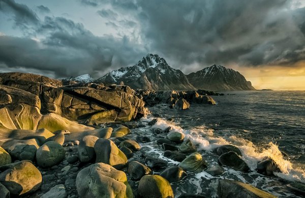 Explore Top UK Gardens with Comprehensive Bonsai Workshops: Your Guide to Mastering Japanese Artistry